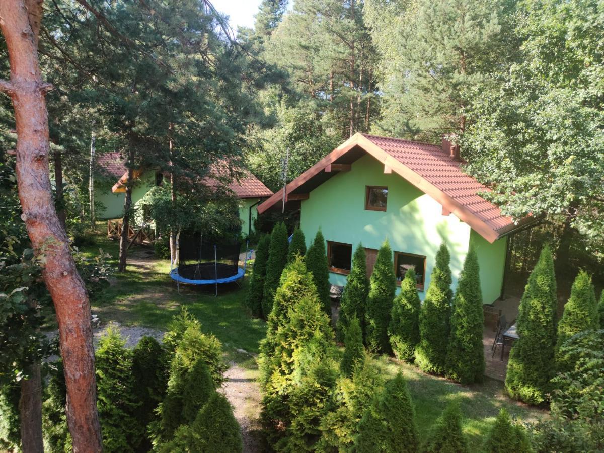 Niezapominajka-Jura Villa Niegowa Eksteriør billede